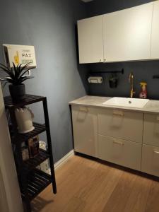 Una cocina o cocineta en In the middle of the city, garden and parking!