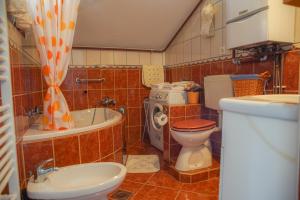 a bathroom with a toilet and a sink and a tub at Country House Vrbovčanka in Daruvar