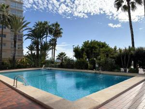 a swimming pool in a resort with palm trees at Apartamentos Colón - Grupo Antonio Perles in Calpe