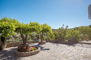 Zahrada ubytování Halases Panorama Villa pvt pool + 67 fotografií