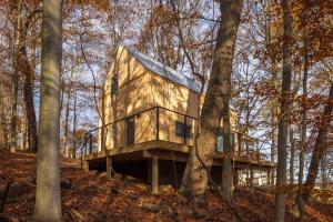 a house with a glass roof in the woods at The Primrose in Logan +32 photos