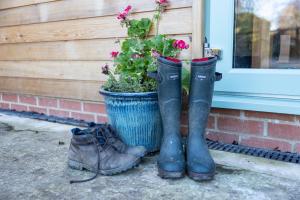 Φωτογραφία από το άλμπουμ του The Stables, Winksley Nr Grantley Hall σε Winksley