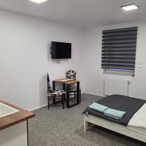 TV a/nebo společenská místnost v ubytování Kawalerki Mazurski Zdroj