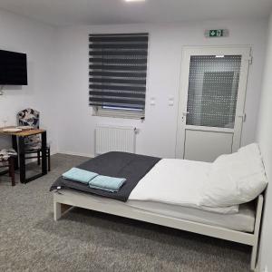 TV a/nebo společenská místnost v ubytování Kawalerki Mazurski Zdroj