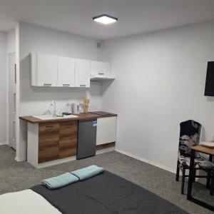 Kuchyň nebo kuchyňský kout v ubytování Kawalerki Mazurski Zdroj + 8 fotografií