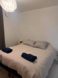 Un dormitorio con una cama con dos almohadas azules encima. en Elfs Retreat close to Santa Claus Village, en Rovaniemi
