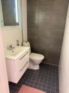 Un baño con un inodoro blanco y un lavabo. en Elfs Retreat close to Santa Claus Village, en Rovaniemi