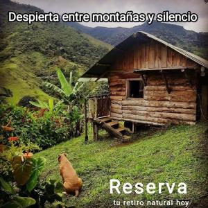 Φωτογραφία από το άλμπουμ του Ecocabaña Con Maloca cerca a Pijao Quindío σε Pijao