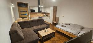 Χώρος καθιστικού στο apartmán Šternberk