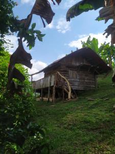 Φωτογραφία από το άλμπουμ του Ecocabaña Con Maloca cerca a Pijao Quindío σε Pijao