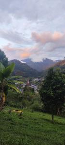 Φωτογραφία από το άλμπουμ του Ecocabaña Con Maloca cerca a Pijao Quindío σε Pijao +3 φωτογραφίες