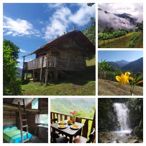 Φωτογραφία από το άλμπουμ του Ecocabaña Con Maloca cerca a Pijao Quindío σε Pijao