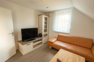 a living room with a couch and a television at Deluxe Apartment Seeblick in Friedrichshafen