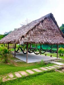 Zahrada ubytování Aventour Expeditions Lodge