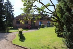 O grădină în afara Chez Ines