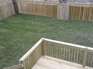 Κήπος έξω από το JACKSON HIDEAWAY