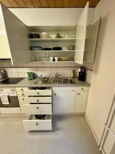 a kitchen with white cabinets and a sink at Zurich Essentials Simple Apartment in Zürich
