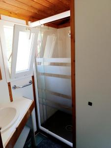 a bathroom with a shower and a sink at Chalet 1 in Cazilhac