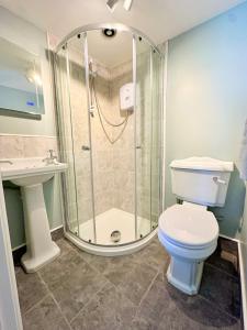 a bathroom with a shower and a toilet and a sink at The Kittiwakes Perch in The Mumbles