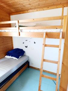 a bunk bed in a cabin with a ladder at Chalet 1 in Cazilhac