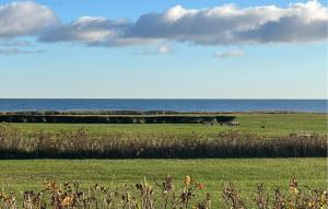 Naturlandskabet i nærheden af feriehuset + 6 billeder