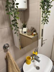 a bathroom with a sink and a mirror at SpaNish FoROOM 1 in Niš +22 photos