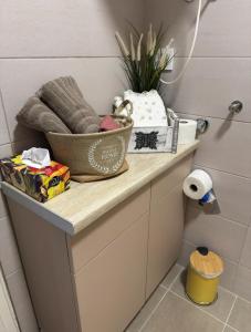a bathroom counter with a basket and other items on it at SpaNish FoROOM 1 in Niš