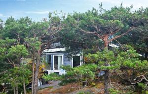 ein kleines weißes Haus, umgeben von Bäumen in der Unterkunft Amazing Home In Gressvik With Wifi in Slevik + 9 Fotos