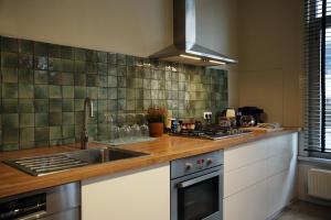 una cucina con lavello e fornello di Appartment in Lier City Center a Lier