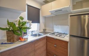 Lovely Home In Tarquinia With Swimming Pool في Porto Clementino: مطبخ مع حوض وثلاجة حديد قابل للصدأ