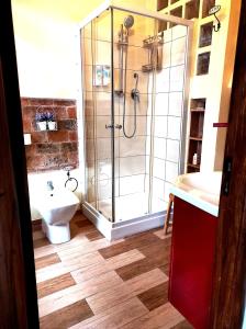a bathroom with a shower and a toilet and a sink at Il Vico holiday home in Serra San Bruno +19 photos