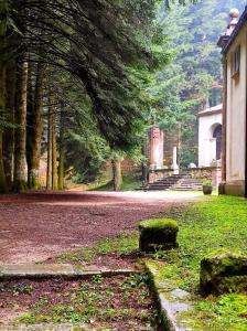 a park with trees and a building and a road at Il Vico holiday home in Serra San Bruno