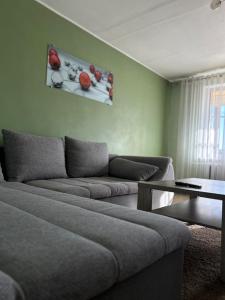 Χώρος καθιστικού στο ROŽĖS BUTAS Apartment