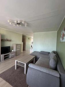 Χώρος καθιστικού στο ROŽĖS BUTAS Apartment