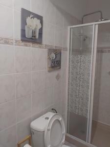 ein Badezimmer mit Dusche und Toilette mit geschlossenem Deckel in der Unterkunft Les Palmiers in Trois-Rivières + 6 Fotos