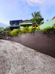 una casa con flores en el costado de una pared en Apartment Ellie, en Castries