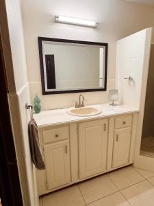 un baño con lavabo y espejo en Apartment Ellie, en Castries