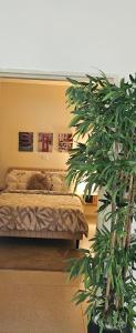 ein Schlafzimmer mit einem Bett und einer Topfpflanze in der Unterkunft צימר החורש in Dāliyat el Karmil