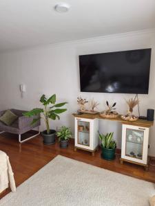 Μια τηλεόραση ή/και κέντρο ψυχαγωγίας στο LandS