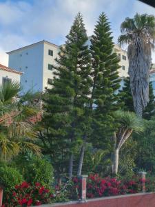 Κήπος έξω από το LandS