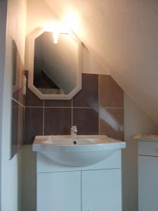 un bagno con lavandino e specchio di Le Logis Des Grenouilles B&B a Morieux Altre 11 foto