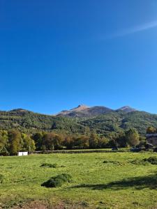 eine grüne Wiese mit Bergen im Hintergrund in der Unterkunft Apartamentos Casa Domec in Castejón de Sos