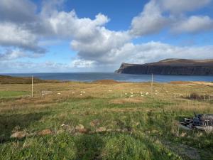 Φυσικό τοπίο κοντά σε αυτό το διαμέρισμα +6 φωτογραφίες