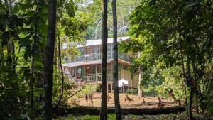 a house in the middle of the forest at Cabañas eco lógicas mu'ü in Loreto Mocagua