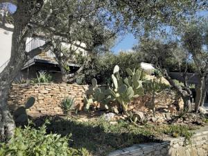 a garden with cactuses and a stone wall at La Corentine in Bandol +10 photos