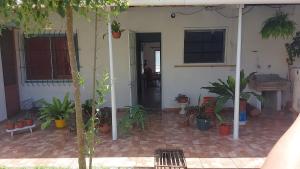 una casa con un mucchio di piante in vaso al suo interno di Alojamiento Las nenas a la vuelta del corsodromo a Gualeguaychú