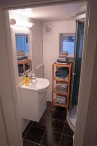 Un pequeño baño con lavabo y ducha. en Beautiful little house which offers the best of Senja, en Gibostad