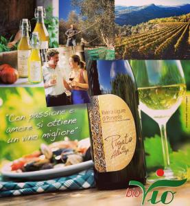 a collage of photos with wine bottles and a plate of food at Agriturismo del Pigato - Bio Vio in Albenga