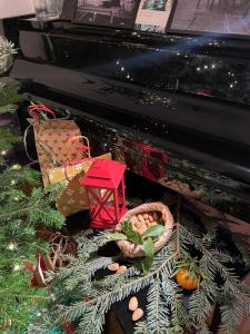 Κήπος έξω από το Beautiful Loft 130m2 Sun and free parking