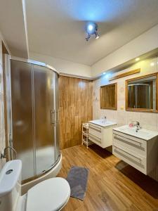 a bathroom with a shower and a toilet and a sink at Dom Wypoczynkowy Julia in Białka Tatrzańska +62 photos